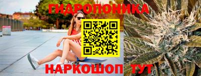 винт Сланцы
